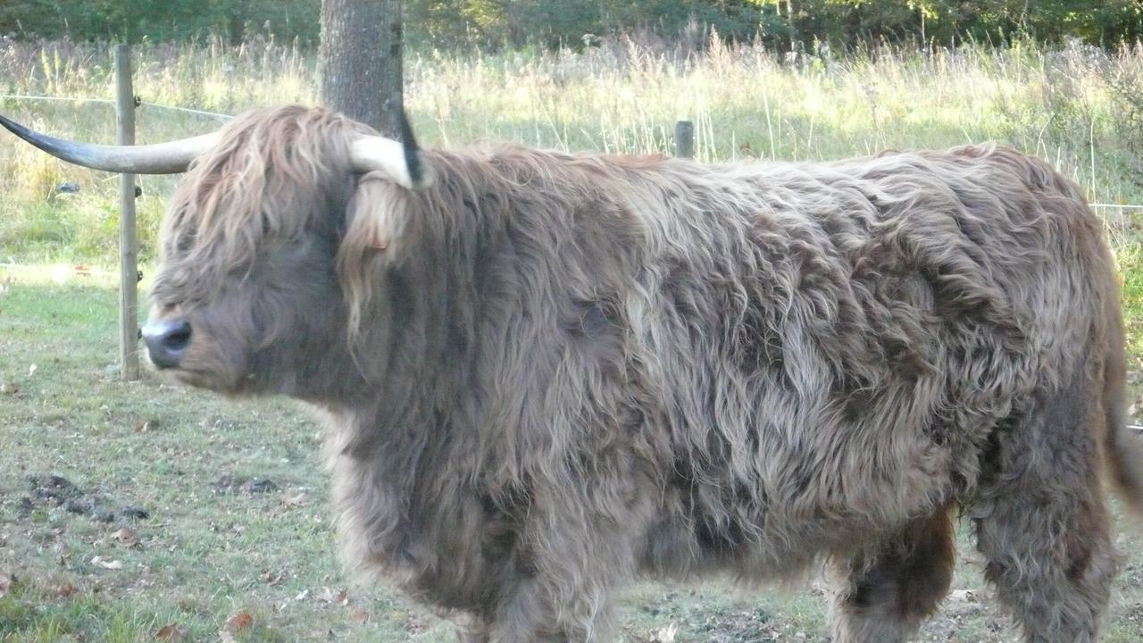 Chateau Mont Suzey Yvoy-le-Marron Eksteriør billede